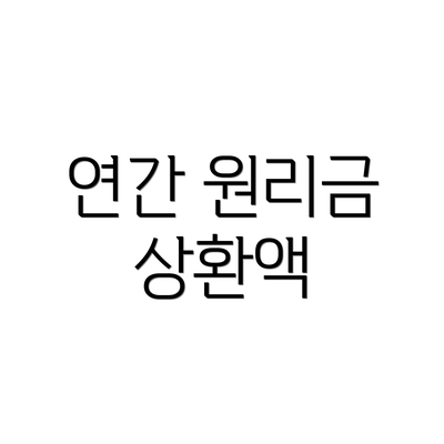 연간 원리금 상환액