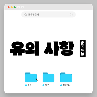 유의 사항 🔍