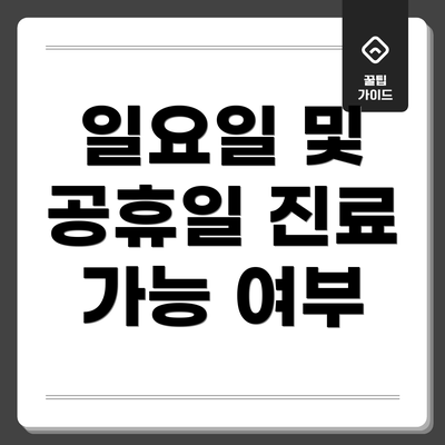 일요일 및 공휴일 진료 가능 여부