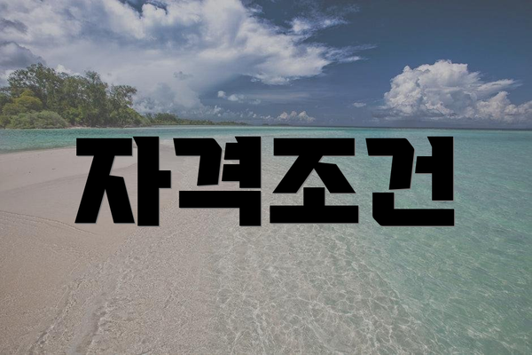 자격조건
