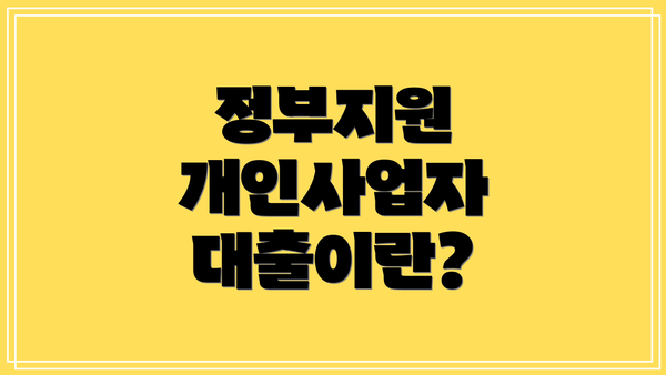 정부지원 개인사업자 대출이란?