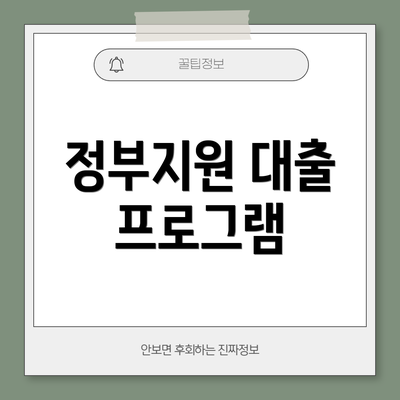 정부지원 대출 프로그램