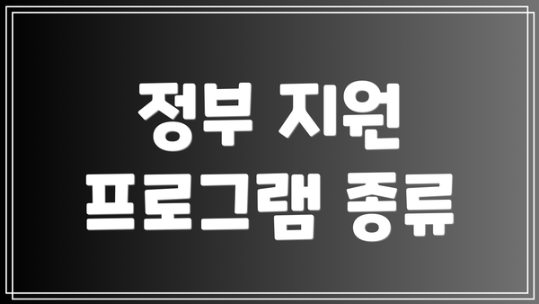 정부 지원 프로그램 종류