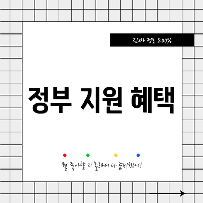 정부 지원 혜택