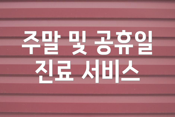 주말 및 공휴일 진료 서비스
