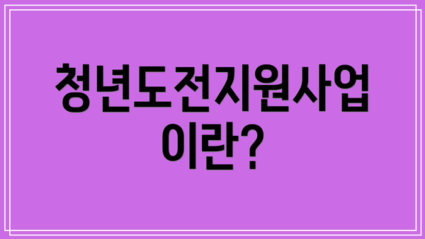 청년도전지원사업이란?