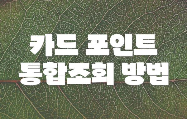 카드 포인트 통합조회 방법