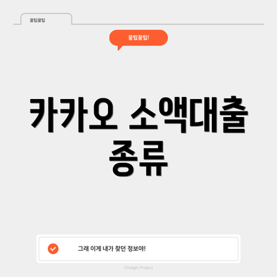 카카오 소액대출 종류