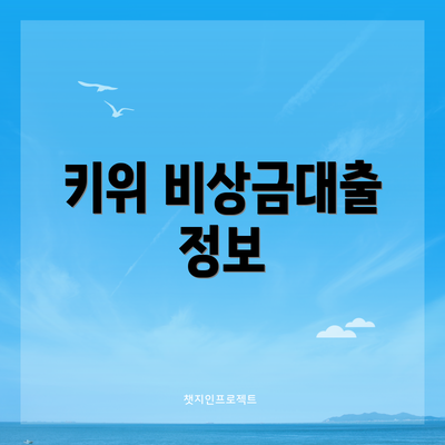 키위 비상금대출 정보