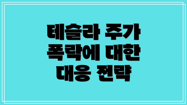 테슬라 주가 폭락에 대한 대응 전략