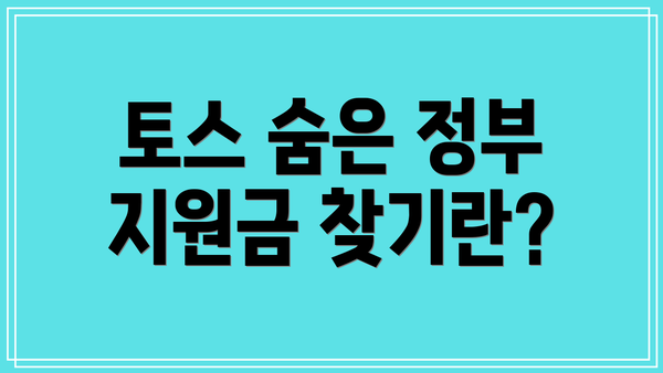 토스 숨은 정부 지원금 찾기란?