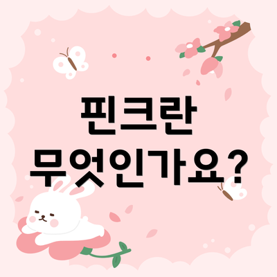 핀크란 무엇인가요?
