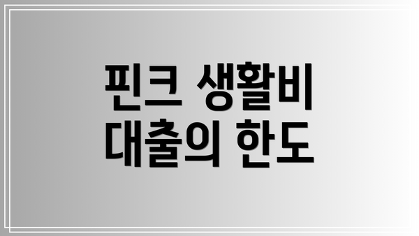 핀크 생활비 대출의 한도