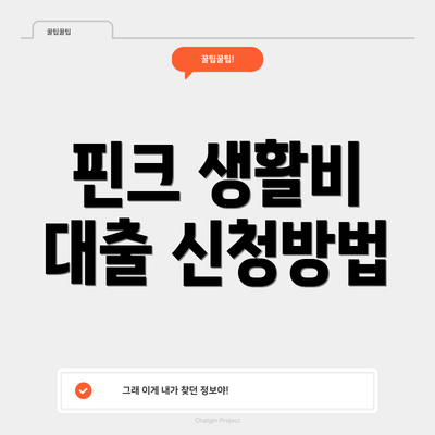 핀크 생활비 대출 신청방법