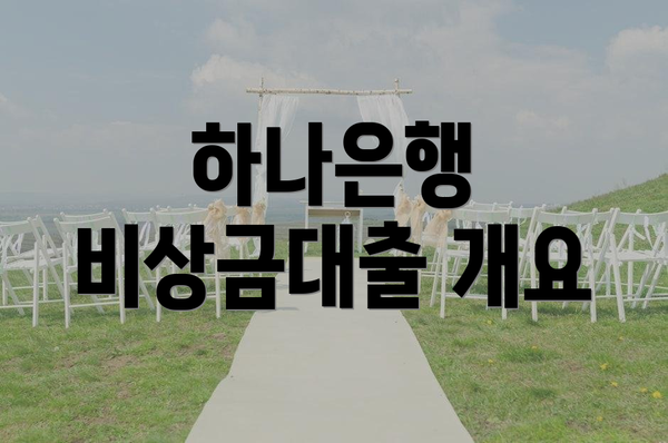 하나은행 비상금대출 개요