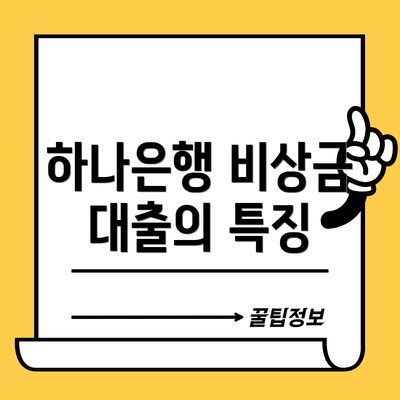 하나은행 비상금 대출의 특징