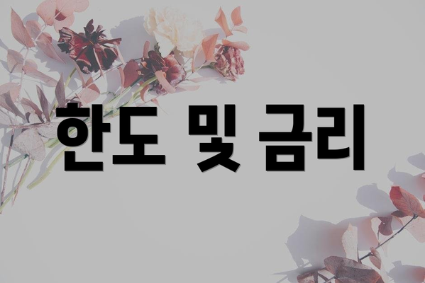 한도 및 금리