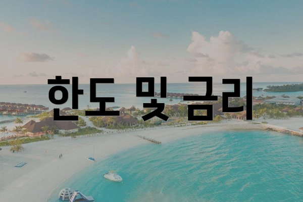한도 및 금리