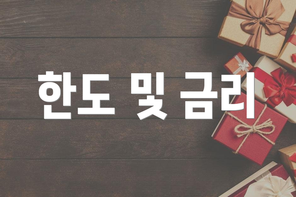 한도 및 금리