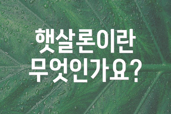 햇살론이란 무엇인가요?