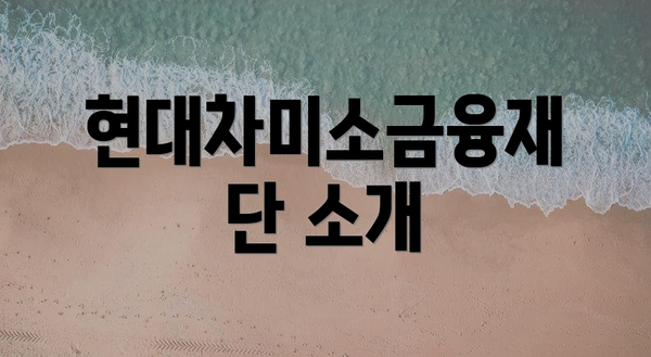 현대차미소금융재단 소개