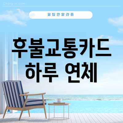후불교통카드 하루 연체
