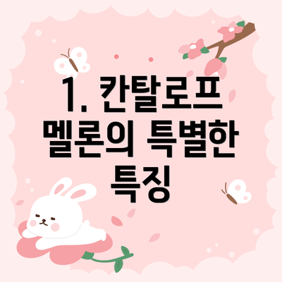 1. 칸탈로프 멜론의 특별한 특징