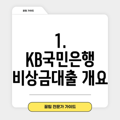 1. KB국민은행 비상금대출 개요
