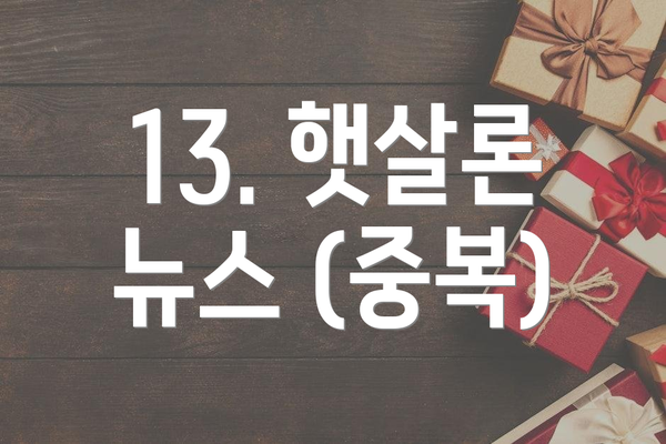 13. 햇살론 뉴스 (중복)