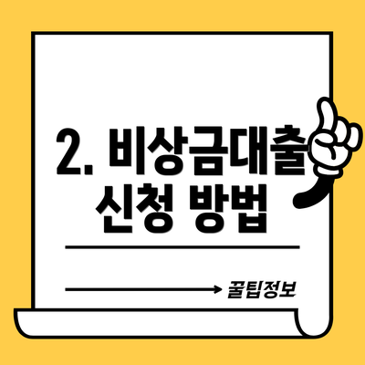 2. 비상금대출 신청 방법