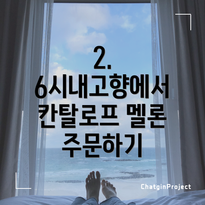 2. 6시내고향에서 칸탈로프 멜론 주문하기