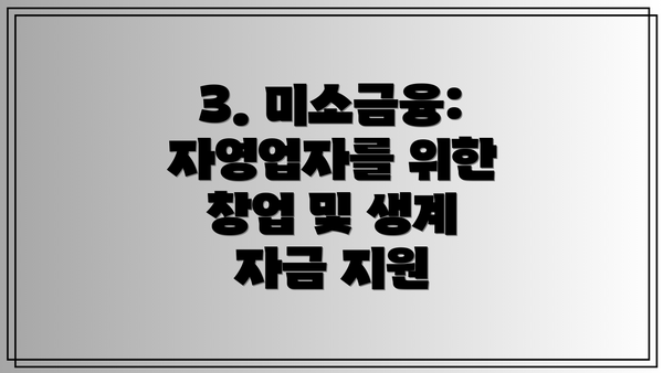 3. 미소금융: 자영업자를 위한 창업 및 생계 자금 지원