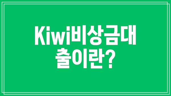 Kiwi비상금대출이란?