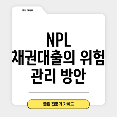 NPL 채권대출의 위험 관리 방안