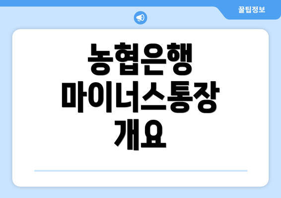 농협은행 마이너스통장 개요
