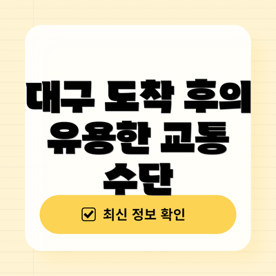 대구 도착 후의 유용한 교통 수단