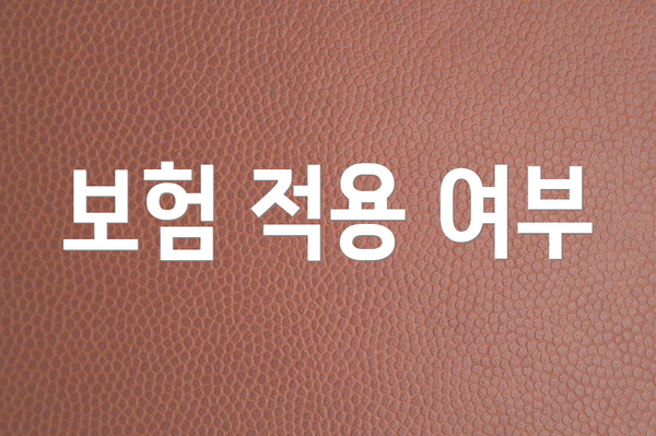 보험 적용 여부