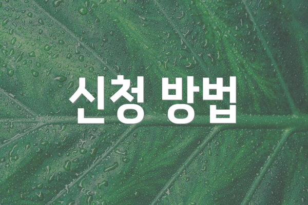 신청 방법