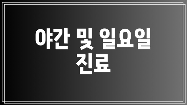 야간 및 일요일 진료
