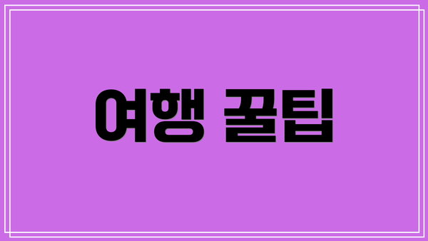 여행 꿀팁