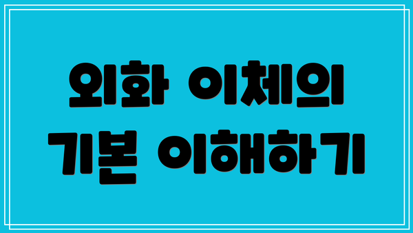 외화 이체의 기본 이해하기