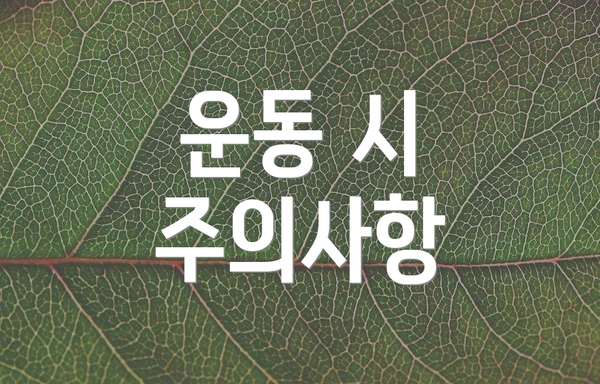 운동 시 주의사항