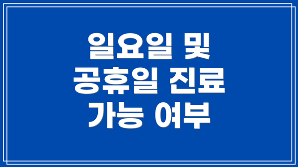 일요일 및 공휴일 진료 가능 여부
