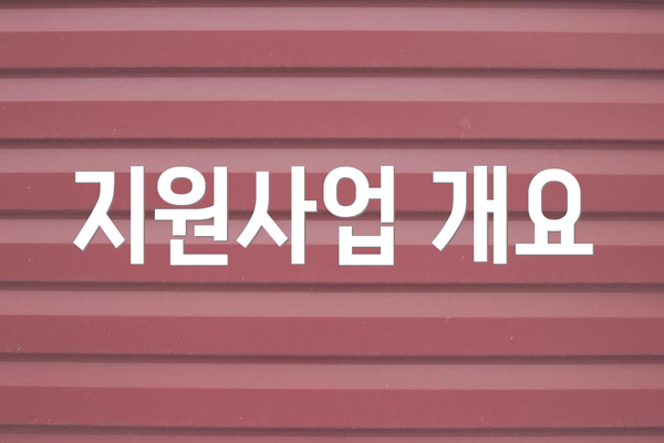 지원사업 개요