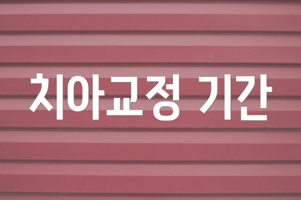 치아교정 기간