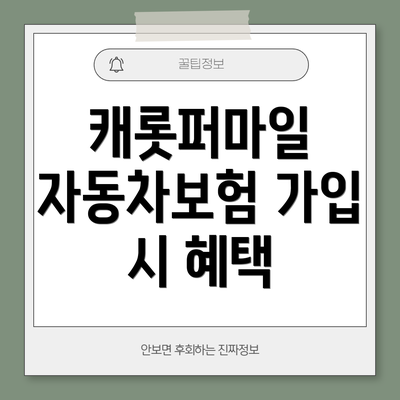 캐롯퍼마일 자동차보험 가입 시 혜택