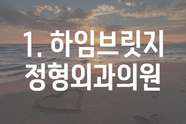 1. 하임브릿지정형외과의원