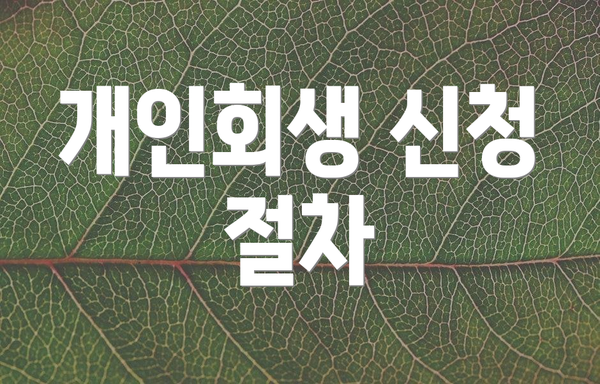 개인회생 신청 절차