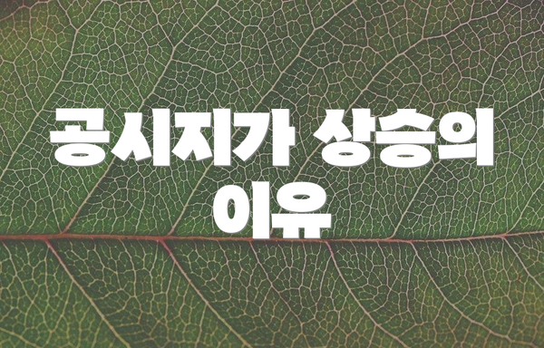 공시지가 상승의 이유