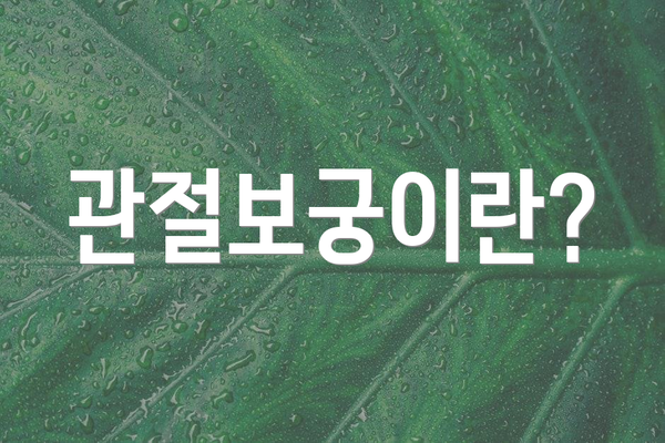 관절보궁이란?
